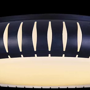 Накладной светильник Freya Assanta FR6159-CL-36W-B
