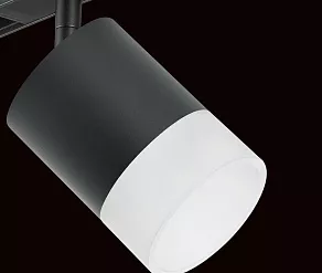 Светильник на штанге Lightstar Rullo PRO348781