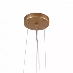 Подвесная люстра Favourite Babylon 2515-10P