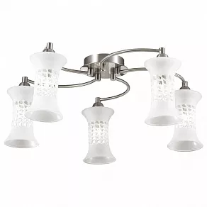 Потолочная люстра Odeon Light Rukba 2516/5C