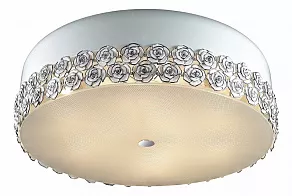 Накладной светильник Odeon Light Rosera 2756/9C