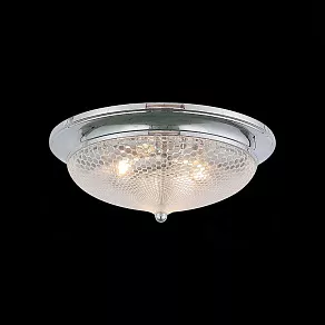 Накладной светильник ST-Luce Favo SL390.102.03