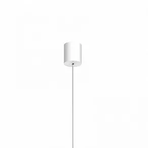 Подвесной светильник Favourite Duplex 2325-2P