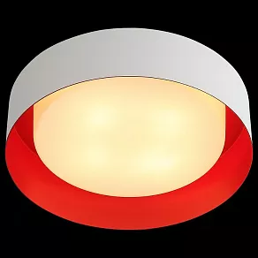Накладной светильник ST-Luce Chio SL392.562.04