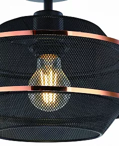Светильник на штанге Globo Bellona 54020D