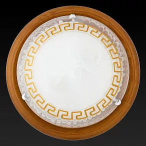 Накладной светильник TopLight Gien TL9173Y-02OA