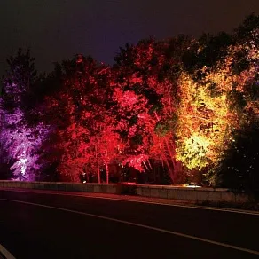 Светильник на штанге Volpe Black 17 UL-00005810