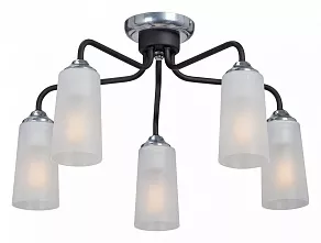 Потолочная люстра Vitaluce V4978 V4978-1/5PL