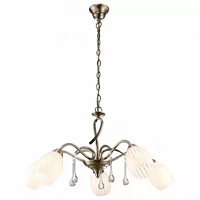 Подвесная люстра Arte Lamp Corniolo A9534LM-5AB