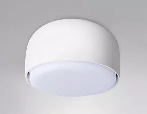 Накладной светильник Ambrella TN TN71001