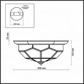 Накладной светильник Odeon Light Clerk 2271/2C