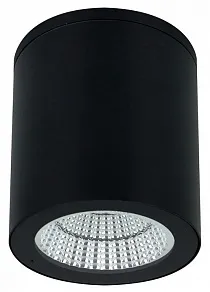 Накладной светильник Arte Lamp TORCULAR A1313PF-1BK