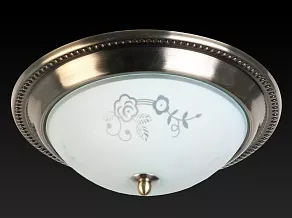 Накладной светильник TopLight Molly TL5020Y-02AB