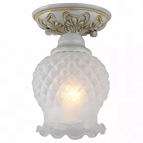 Накладной светильник Favourite Parma 1385-1U