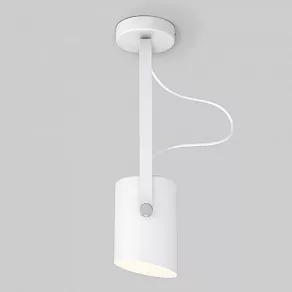 Светильник на штанге Eurosvet Italio 20092/1