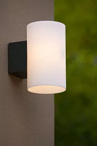 Накладной светильник Lucide Mart 27887/01/61