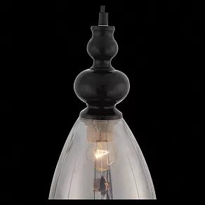 Подвесной светильник ST-Luce Bacineto SL374.403.01