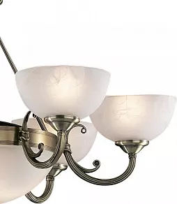 Подвесная люстра Odeon Light Alicante 1989/8