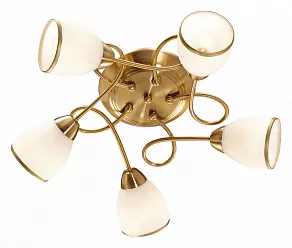 Потолочная люстра Odeon Light Foko 2561/5C