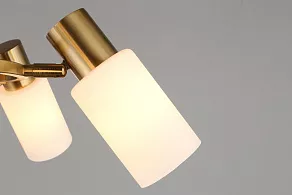 Подвесная люстра Omnilux Ales OML-69103-06