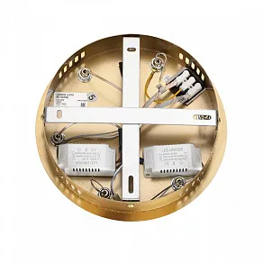 Подвесная люстра Lumion TWINKLE 8010/50L