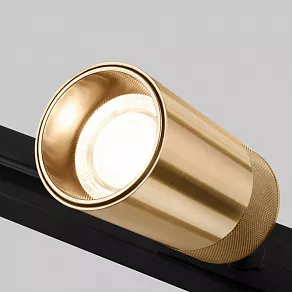 Светильник на штанге Elektrostandard Riffe 85512/01