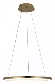 Подвесной светильник Loft it Ring 10014M