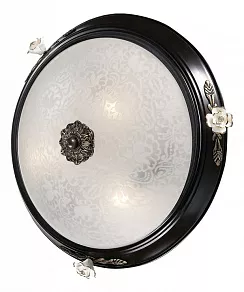 Накладной светильник Odeon Light Bone 2693/3C