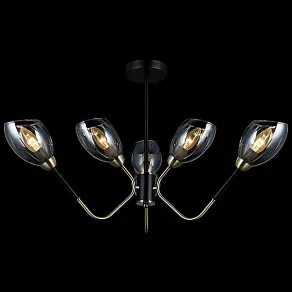 Люстра на штанге ILLUMICO  IL9960-6CSQ-79 BK AB