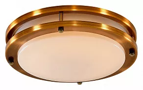 Накладной светильник Citilux Бостон CL709203N