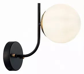 Бра EVOLUCE Ciane SLE1098-401-01