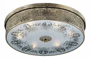 Накладной светильник Odeon Light Aster 2782/6C