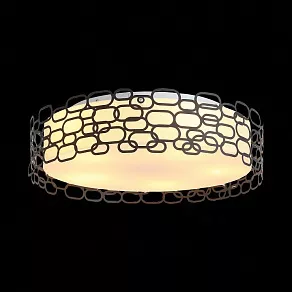 Накладной светильник ST-Luce Ciatura SL304.402.05