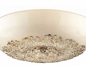 Накладной светильник Odeon Light Palmira 2677/8C
