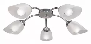 Потолочная люстра Vitaluce V3750 V3750-9/5PL