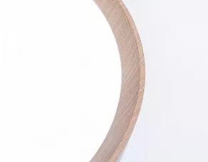 Накладной светильник Ambrella FZ FZ1322