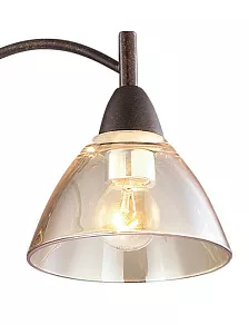 Подвесная люстра Odeon Light Treves 2625/3
