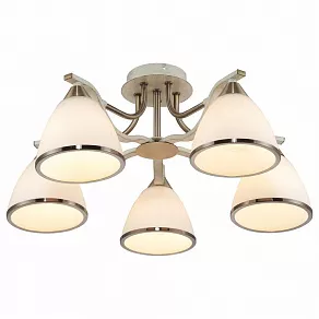 Потолочная люстра TopLight Sheena TL3670X-05AB
