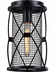 Подвесной светильник Favourite Mesh 1783-1P