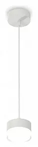Подвесной светильник Ambrella XP XP8110025