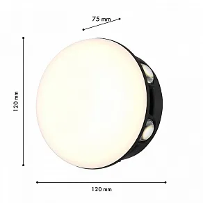 Накладной светильник Favourite Option 4853-1W