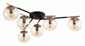 Потолочная люстра EVOLUCE Literno SLE106902-06