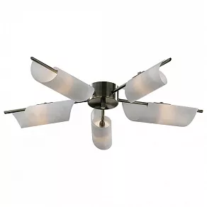 Потолочная люстра Odeon Light Ray 2015/5C