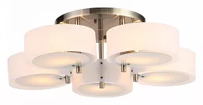 Потолочная люстра EVOLUCE Foresta SL483.352.05