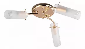 Потолочная люстра TopLight Brittany TL7130X-03FG