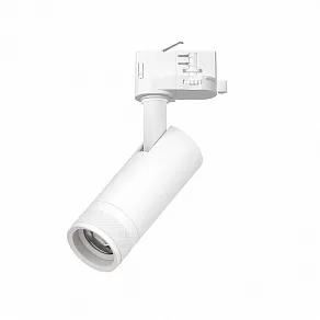 Светильник на штанге Lightstar Canno Pro C4126QT