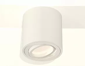 Накладной светильник Ambrella XS XS7531001