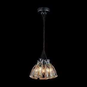 Подвесной светильник Maytoni Rappe H099-05-B