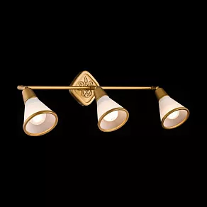 Спот Maytoni Luther ECO008-03-G
