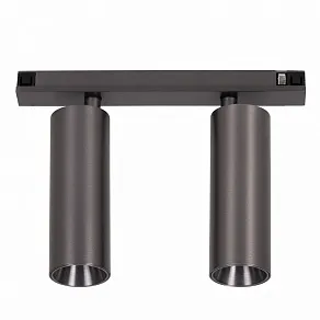 Светильник на штанге Lucide Linial 55902/20/08